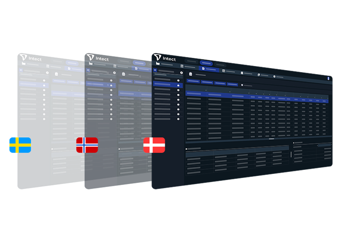 Intect Skandinavisk Lønsystem Interface Flag 976X597px
